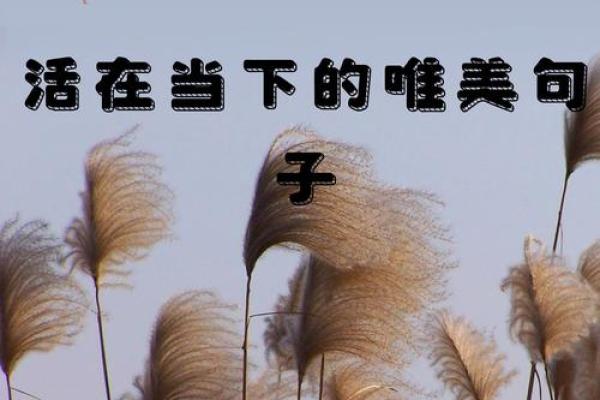 珍惜当下,活出最好的自己——关于“命”的经典语录解读 珍惜当下,活出最好的自己——关于“命”的经典语录解读