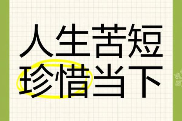 珍惜当下,活出最好的自己——关于“命”的经典语录解读 珍惜当下,活出最好的自己——关于“命”的经典语录解读