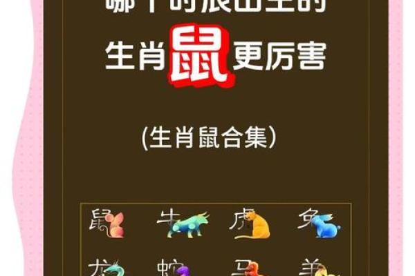 2008年鼠年命运:智慧灵动与不懈追求的完美结合 2008年鼠年命运:智慧灵动与不懈追求的完美结合