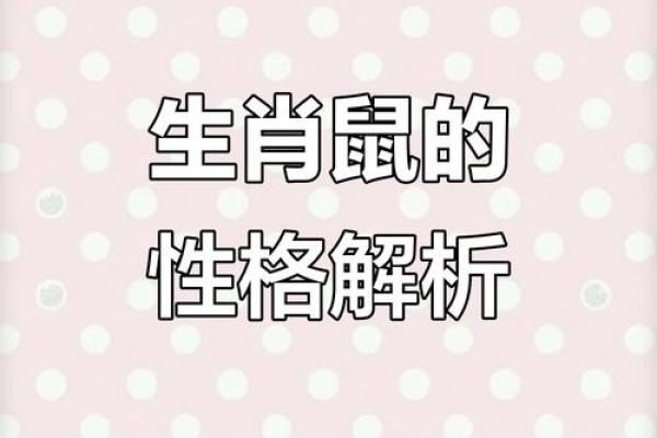 2008年属鼠:新时代的开启与命运的探索 2008年属鼠:新时代的开启与命运的探索