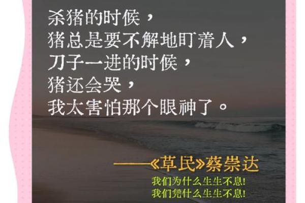 1966年命人的命运与人生启示 1966年命人的命运与人生启示