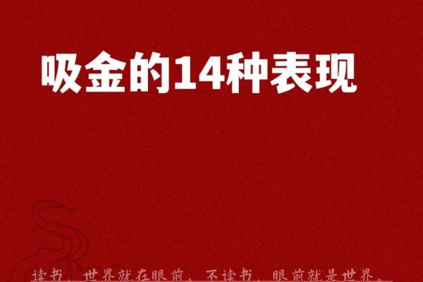 探秘财命与发财命的不同之处:如何获取真正的财富密码? 探秘财命与发财命的不同之处:如何获取真正的财富密码?