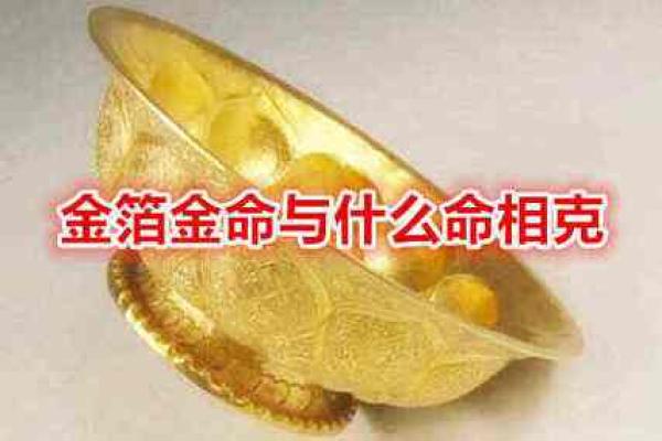 金命人适合从事的流行生意和行业探讨 金命人适合从事的流行生意和行业探讨