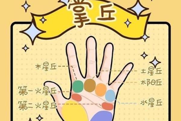 短手指的命运解读:手相学中的秘密与启示 短手指的命运解读:手相学中的秘密与启示