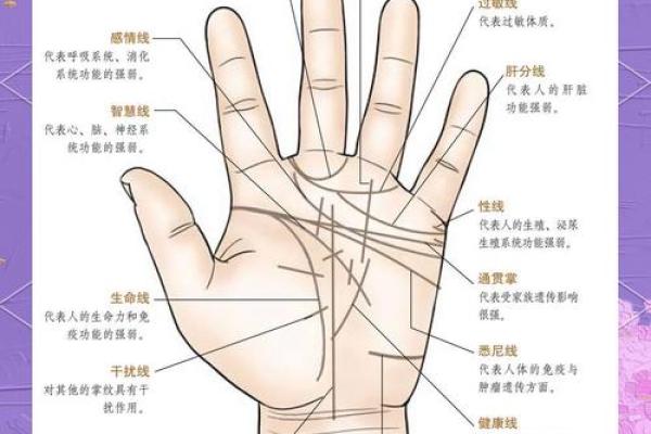 短手指的命运解读:手相学中的秘密与启示 短手指的命运解读:手相学中的秘密与启示