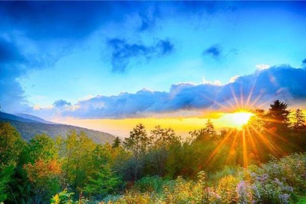 癸卯金箔金命的喜好与命理解析:探寻命运的奥秘 癸卯金箔金命的喜好与命理解析:探寻命运的奥秘