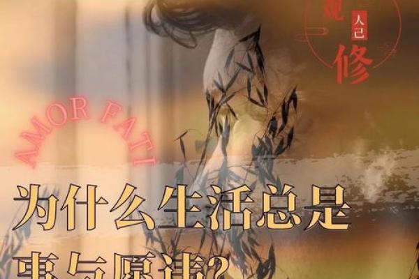 九八零年出生的命运:现代生活中的挑战与机遇 九八零年出生的命运:现代生活中的挑战与机遇