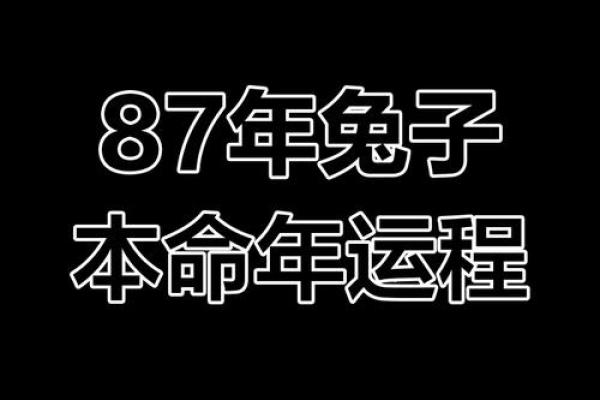 探秘1939年属兔者的命理与人生轨迹 探秘1939年属兔者的命理与人生轨迹