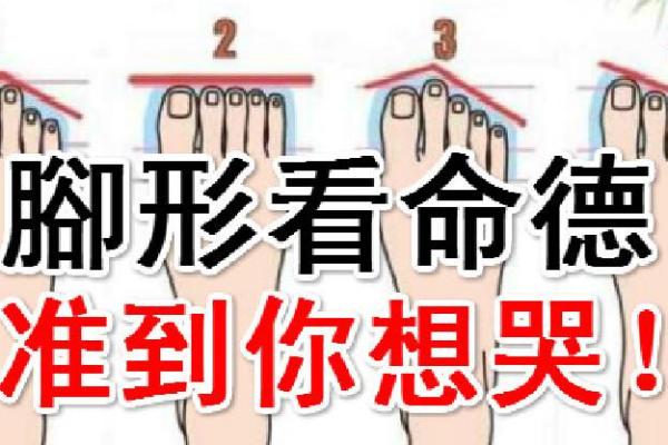 根据脚趾形状解读命运:你脚趾的秘密知多少? 根据脚趾形状解读命运:你脚趾的秘密知多少?