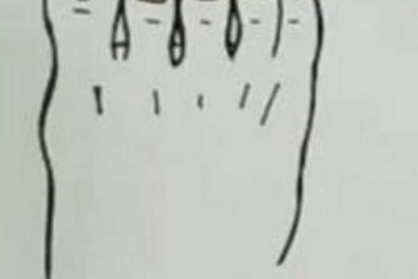 根据脚趾形状解读命运:你脚趾的秘密知多少? 根据脚趾形状解读命运:你脚趾的秘密知多少?