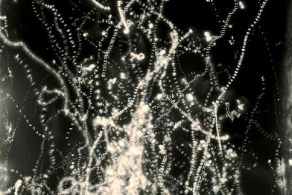 1016年命运之轮:探索命理与人生的奇妙交织 1016年命运之轮:探索命理与人生的奇妙交织