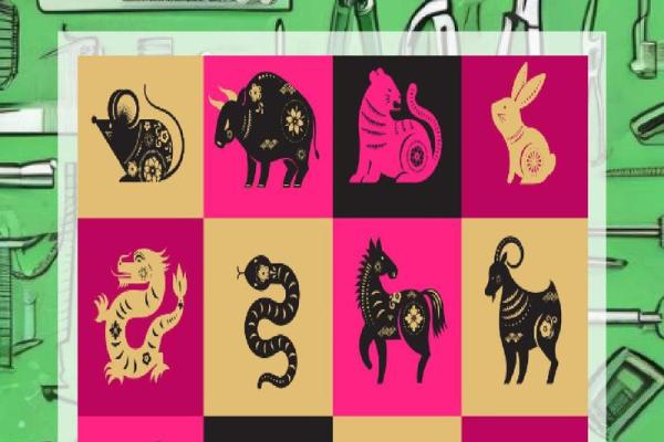 1991年出生的生肖命运：解析你的性格与未来发展