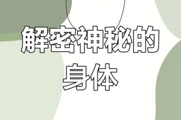探秘身体的多命:如何理解身体与灵魂的深度联系与和谐 探秘身体的多命:如何理解身体与灵魂的深度联系与和谐
