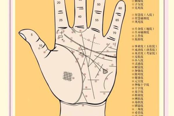 通过手算解析你的命格,揭示命运的秘密! 通过手算解析你的命格,揭示命运的秘密!