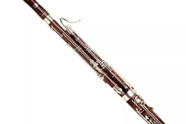 火命者的乐器选择：适合学习哪种乐器才能更好地发挥潜力？