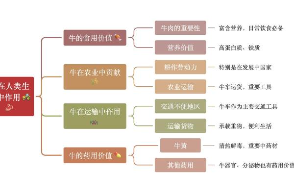 解密1973年属牛的命运与未来发展路径