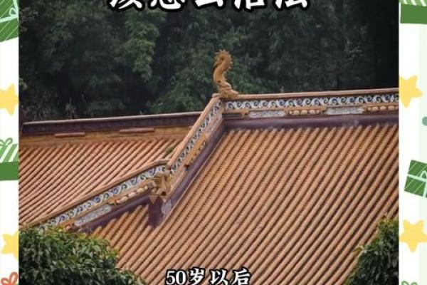 揭秘:50岁是什么命,如何在中年迎接新生? 揭秘:50岁是什么命,如何在中年迎接新生?