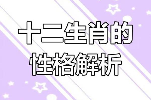 2022年老虎生肖解析：他们的命运与性格的奥秘