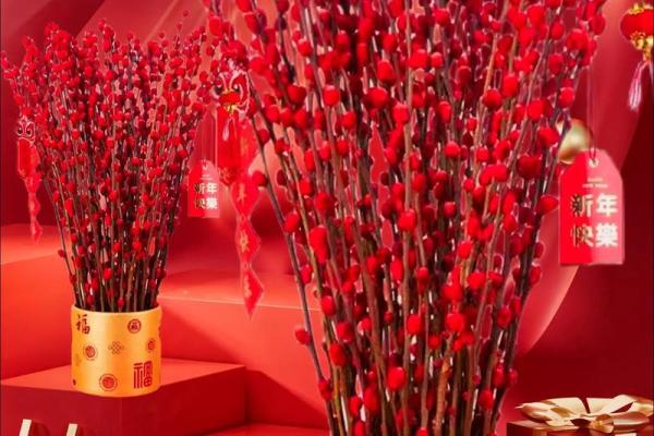 1993年腊月十一：冥冥中的缘分与命运的交织