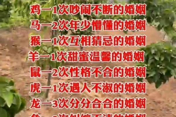 探索克夫命格:揭示女性命理与婚姻的微妙关系 探索克夫命格:揭示女性命理与婚姻的微妙关系