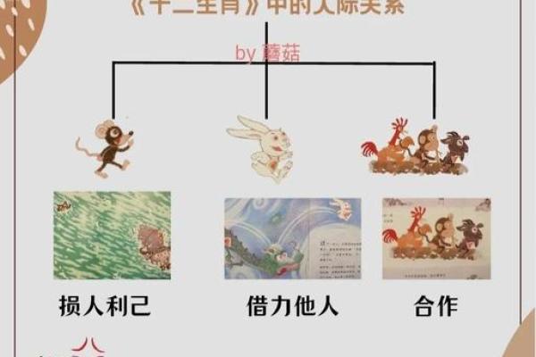探索命理学:属相划分的奥秘与智慧之道 探索命理学:属相划分的奥秘与智慧之道
