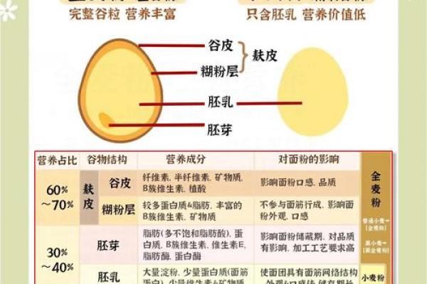 麦片命粉的神奇功效:为你的健康加分! 麦片命粉的神奇功效:为你的健康加分!