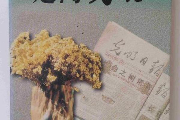 13岁孩子的命运探秘:如何引导他们走向光明未来? 13岁孩子的命运探秘:如何引导他们走向光明未来?