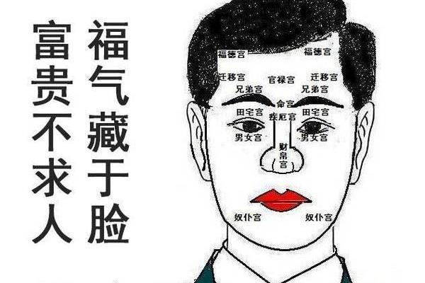 1992年属猴的金命解析：你的命运密码与发展之路