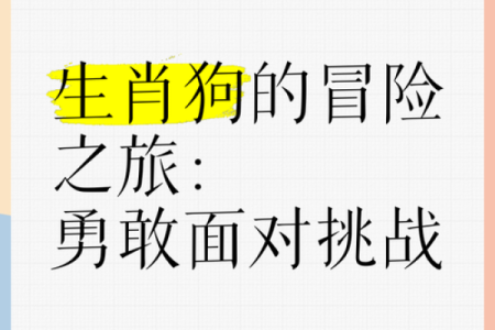 1994年生肖与命运探索：属犬人的精彩人生旅程