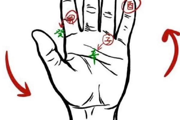 2025年属什么命?揭开五行与生肖的奥秘,探寻你的命运之路 2025年属什么命?揭开五行与生肖的奥秘,探寻你的命运之路