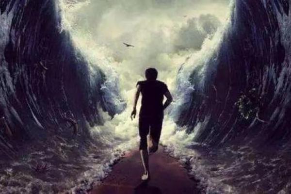 1992年出生的金猴：性格、命运与人生之路的探索