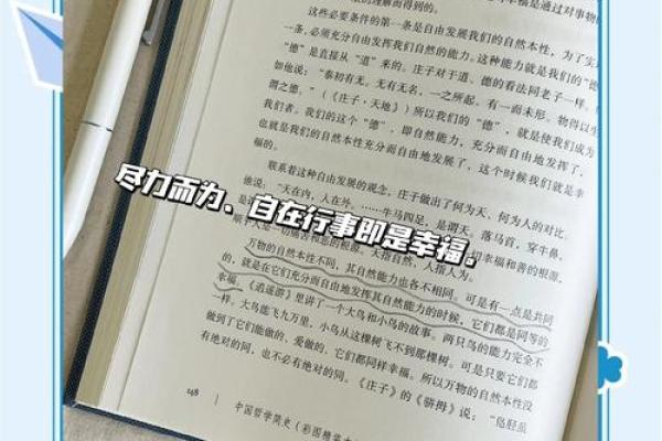 探索2004年后的人生哲学与幸福之道
