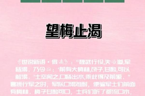 根据什么洒什么命的成语解析与启示 根据什么洒什么命的成语解析与启示