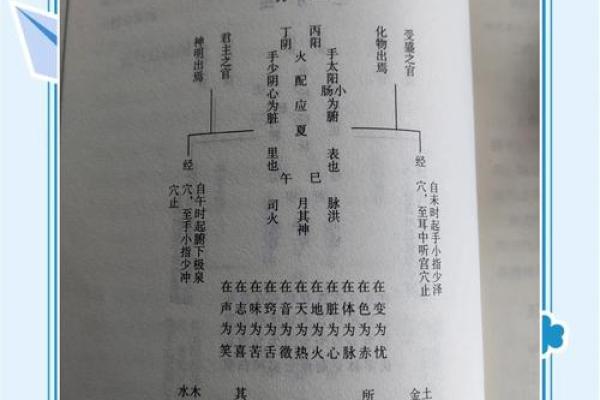 揭秘二命与三命:命运分析的深奥之道 揭秘二命与三命:命运分析的深奥之道