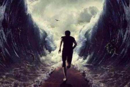 1992年出生的金猴：性格、命运与人生之路的探索