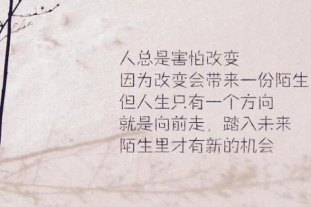 2003年出生的命运揭秘：掌握人生的关键与挑战