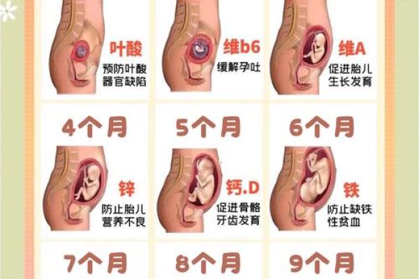 揭秘:宝宝没有胎记的意义与命运解析 揭秘:宝宝没有胎记的意义与命运解析