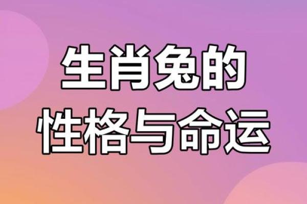 1999年属兔男性命解析：命理特征与人生运势的深度剖析