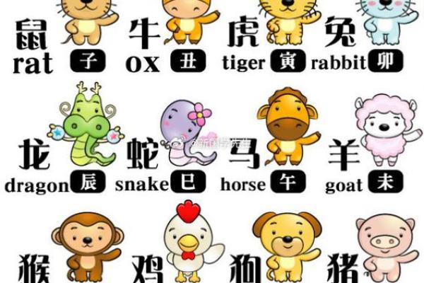 1999年属鸡人的命运与人生轨迹探秘 1999年属鸡人的命运与人生轨迹探秘