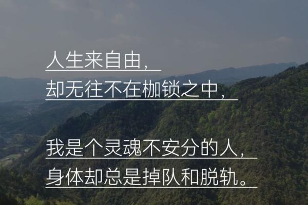 不待帝命之人:自由灵魂的追寻之旅 不待帝命之人:自由灵魂的追寻之旅