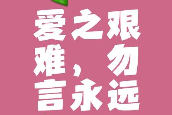 爱什么如命，铁什么如山——探寻生活中的坚定信念与无尽热情