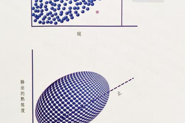 命与运：人生旅途中的交响乐与探寻之旅