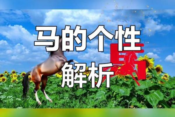 二一四属马的命运与性格分析，探寻人生的智慧与潜力