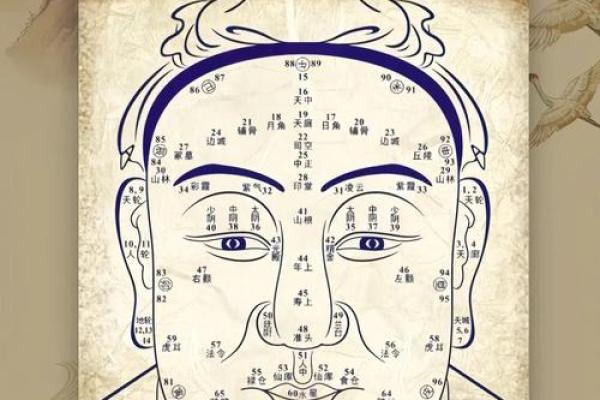 额头大的男人命运解析：他们的性格与人生轨迹