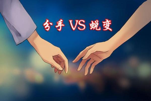 测试婚后命运：你将如何蜕变与成长