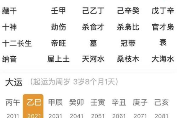 庚子丁亥年，如何运用命理提升生活质量？