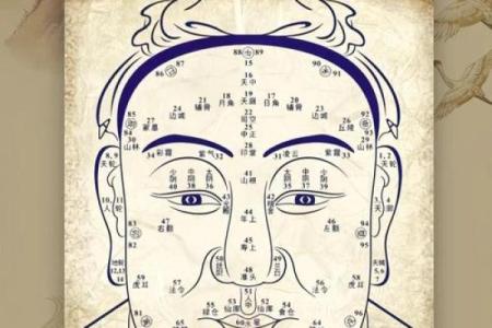 额头大的男人命运解析：他们的性格与人生轨迹