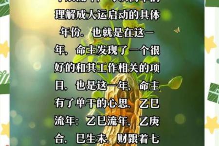 庚子丁亥年，如何运用命理提升生活质量？