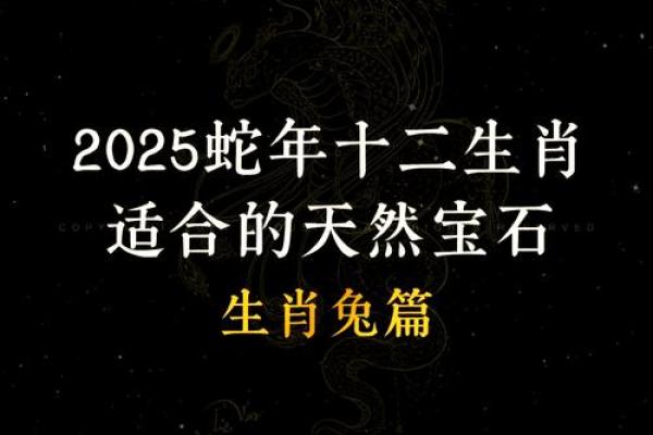2006年兔年命运解析：从五行来看兔年的特质与价值
