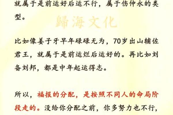 2008年属鼠人的命运解析：探索财富、健康与情感的奥秘